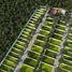  Terreno (Parcela) en venta en Merida, Yucatán, Merida, Yucatán