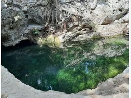  Grundstück zu verkaufen in Cozumel, Quintana Roo, Cozumel