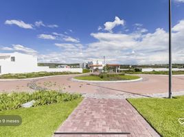  Terreno (Parcela) en venta en Lazaro Cardenas, Quintana Roo, Lazaro Cardenas