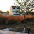  Terreno (Parcela) en venta en Lazaro Cardenas, Quintana Roo, Lazaro Cardenas
