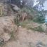  Terreno (Parcela) en venta en Acapulco, Guerrero, Acapulco, Guerrero