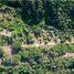  Terreno (Parcela) en venta en Dist Pochutla, Oaxaca, Dist Pochutla