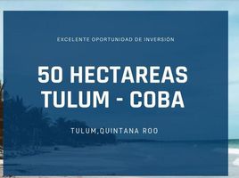  Terreno (Parcela) en venta en Cozumel, Quintana Roo, Cozumel, Quintana Roo