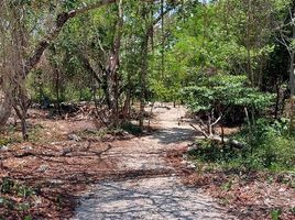  Grundstück zu verkaufen in Cozumel, Quintana Roo, Cozumel