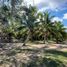  Grundstück zu verkaufen in Othon P Blanco, Quintana Roo, Othon P Blanco