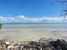  Grundstück zu verkaufen in Othon P Blanco, Quintana Roo, Othon P Blanco