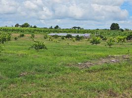  Grundstück zu verkaufen in Othon P Blanco, Quintana Roo, Othon P Blanco