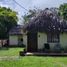  Grundstück zu verkaufen in Othon P Blanco, Quintana Roo, Othon P Blanco