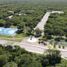  Terreno (Parcela) en venta en Merida, Yucatán, Merida, Yucatán