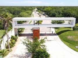  Terreno (Parcela) en venta en Merida, Yucatán, Merida, Yucatán