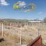  Land for sale in Meoqui, Chihuahua, Meoqui