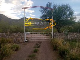  Grundstück zu verkaufen in Meoqui, Chihuahua, Meoqui, Chihuahua
