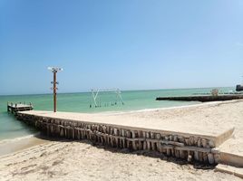  Grundstück zu verkaufen in Progreso, Yucatan, Progreso