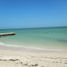  Grundstück zu verkaufen in Progreso, Yucatan, Progreso