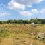  Land for sale in La Antigua, Veracruz, La Antigua