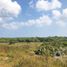  Land for sale in La Antigua, Veracruz, La Antigua