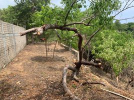  Grundstück zu verkaufen in Dist Pochutla, Oaxaca, Dist Pochutla