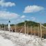  Grundstück zu verkaufen in Othon P Blanco, Quintana Roo, Othon P Blanco