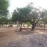  Land for sale in Asientos, Aguascalientes, Asientos
