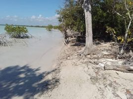 Terrain à vendre à Othon P Blanco, Quintana Roo, Othon P Blanco