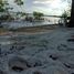 Terrain à vendre à Othon P Blanco, Quintana Roo, Othon P Blanco