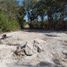 Terrain à vendre à Othon P Blanco, Quintana Roo, Othon P Blanco