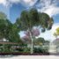  Land for sale in Merida, Yucatan, Merida, Yucatan