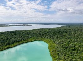  Land for sale in Othon P Blanco, Quintana Roo, Othon P Blanco