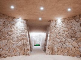 1 Habitación Apartamento en venta en Cozumel, Quintana Roo, Cozumel, Quintana Roo, México