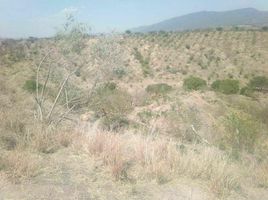  Land for sale in Calvillo, Aguascalientes, Calvillo