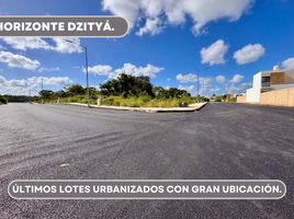  Grundstück zu verkaufen in Merida, Yucatan, Merida, Yucatan