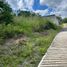  Land for sale in Emiliano Zapata, Veracruz, Emiliano Zapata
