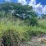  Land for sale in Emiliano Zapata, Veracruz, Emiliano Zapata