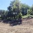  Land for sale in Dist Pochutla, Oaxaca, Dist Pochutla