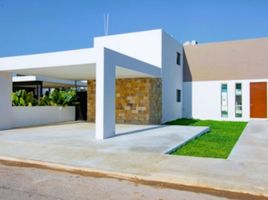 Maison 3 chambre à vendre à Merida, Yucatan, Merida, Yucatan