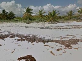  Grundstück zu verkaufen in Cozumel, Quintana Roo, Cozumel