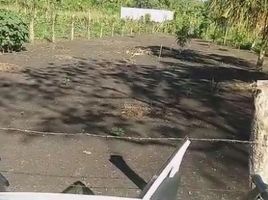  Grundstück zu verkaufen in Othon P Blanco, Quintana Roo, Othon P Blanco