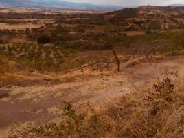  Land for sale in Calvillo, Aguascalientes, Calvillo