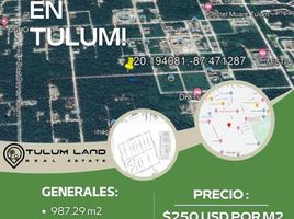  Grundstück zu verkaufen in Cozumel, Quintana Roo, Cozumel