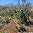 Terreno (Parcela) en venta en Opichen, Yucatán, Opichen