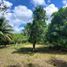 Terrain à vendre à Othon P Blanco, Quintana Roo, Othon P Blanco