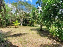 Terrain à vendre à Othon P Blanco, Quintana Roo, Othon P Blanco