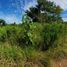  Land for sale in Othon P Blanco, Quintana Roo, Othon P Blanco