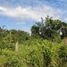  Land for sale in Othon P Blanco, Quintana Roo, Othon P Blanco