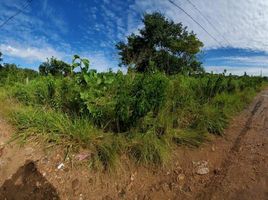  Land for sale in Othon P Blanco, Quintana Roo, Othon P Blanco