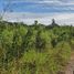  Land for sale in Othon P Blanco, Quintana Roo, Othon P Blanco