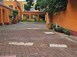 3 Schlafzimmer Appartement zu verkaufen in Coyoacan, Mexico City, Coyoacan