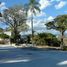  Land for sale in Temixco, Morelos, Temixco