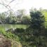  Land for sale in Gonzalez Tamaulipas, Gonzalez