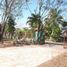  Land for sale in Gonzalez Tamaulipas, Gonzalez